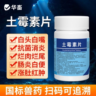 水族观赏鱼药专治鱼病土霉素乌龟锦鲤金鱼烂肉尾杀菌消炎鱼缸