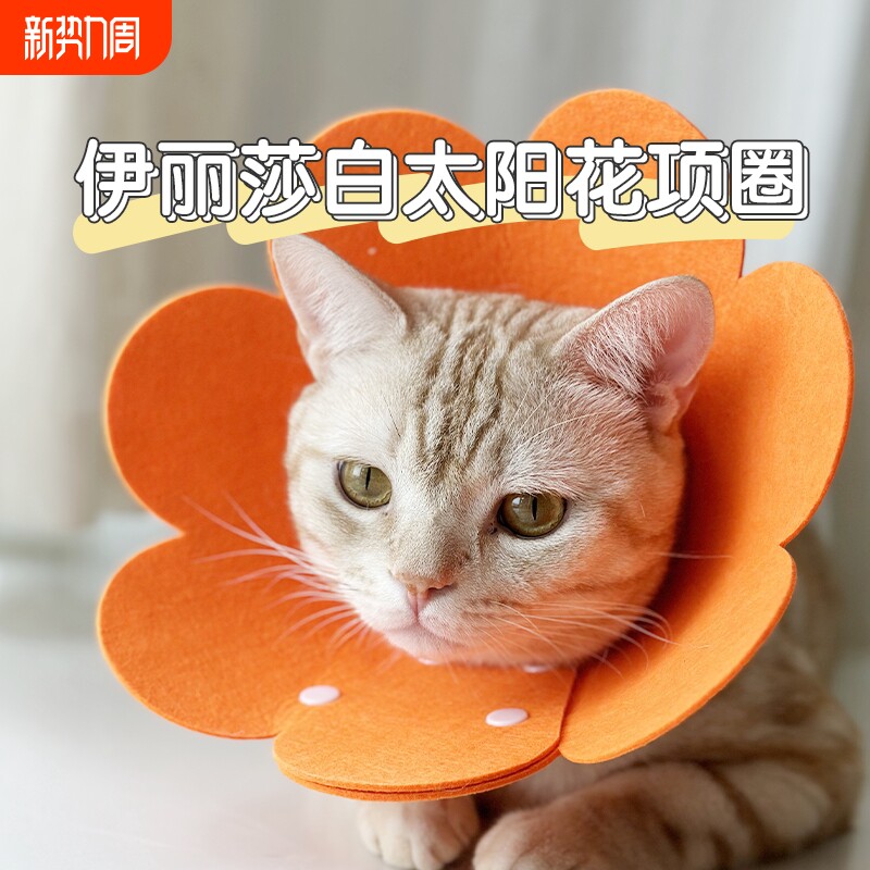 伊丽莎白圈猫咪绝育项圈防咬防舔脖套圈羞耻圈猫头套围脖宠物用品