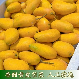 正宗小台农芒芒果新鲜应当季水果整箱包邮大热带特产芒果