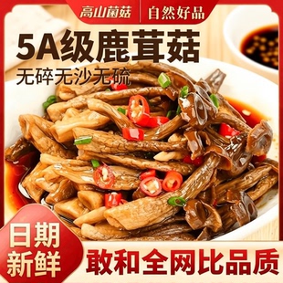 5A鹿茸菇干货非特级500g云南特产脆姑蘑菇香菇脆脆菇类菌菇野生