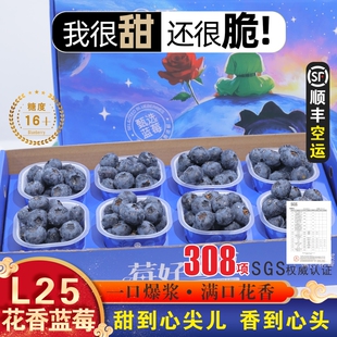 玉溪L25花香蓝莓高端豪华礼盒装 20mm 超能口杯蓝莓 顺丰空运