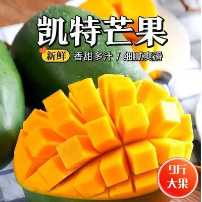 当季正宗凯特大芒果新鲜水果9斤