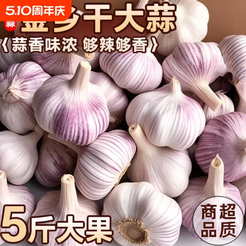 【特价】山东金乡紫皮大蒜网兜装