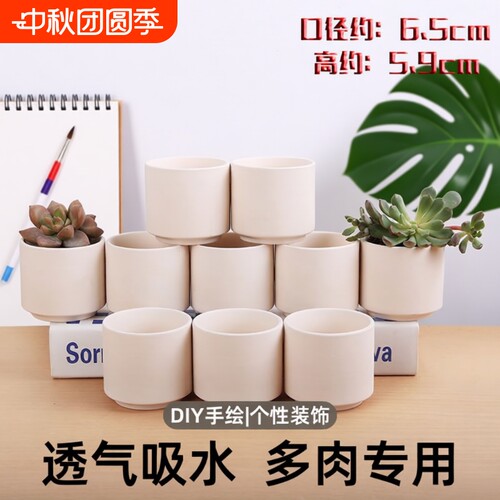 透气会呼吸陶瓷花盆可用颜料画画