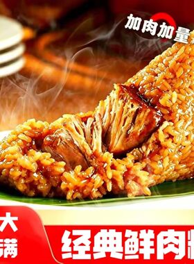 嘉兴粽子个大饱咸鲜速食端午节