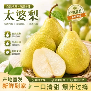 正宗山东太婆梨丑梨软梨黄梨新鲜时令水果大头梨整箱包邮