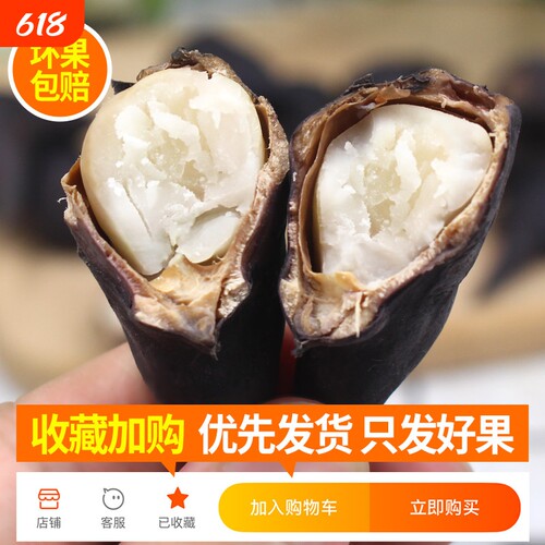 2026年新鲜菱角老菱角洪湖现摘