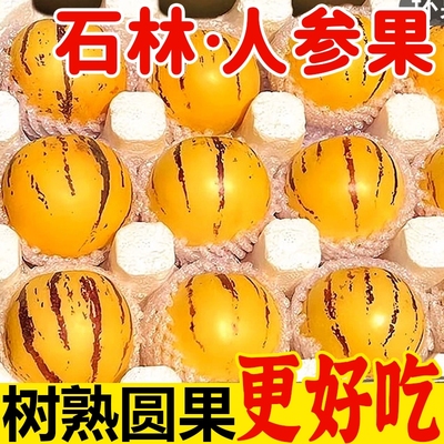 云南人参果特大果|超3000次加购