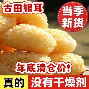新货大朵银耳菌古田年货正宗白木耳干货软糯雪耳新鲜软糯燕窝袋装