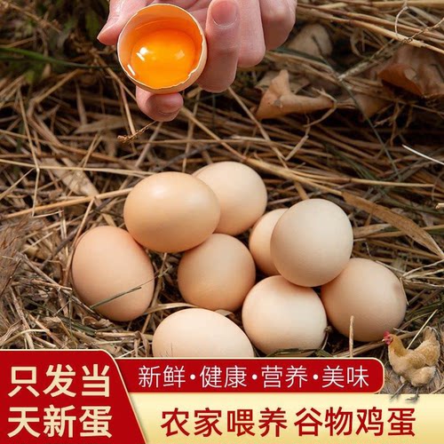 谷物鲜鸡蛋40g/枚新鲜鸡蛋农家笨鸡蛋健康早餐蛋