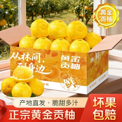 怀化黄金贡柚清甜爆汁肉质细腻