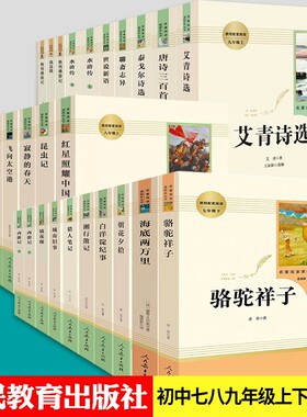 人教版初中名著阅读七八九年级
