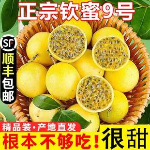 正宗黄金百香果钦蜜9号西番莲鸡蛋果新鲜水果整箱批发挑选大果