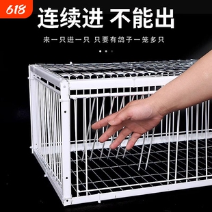 天落笼鸽子笼鸽子活络门只进不出撞门鸽笼铁笼跳笼自动门神器捕捉