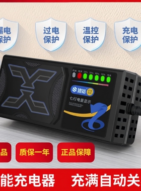 电动车电瓶充电器48V12AH60V20AH72V适用爱玛雅迪台铃小刀铅酸