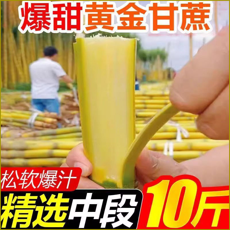云南黄金甘蔗超甜新鲜水果孕妇当季绿皮黄皮甘蔗超甜多汁