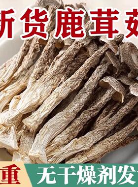 云南特产鹿茸菇干货菇鹿耳菇完整土特产食材直发原味火锅干鹿茸