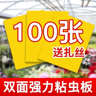 黄板双面粘虫板飞虫纸贴黄蓝蓟马小黑飞沾果蝇诱捕器粘板蚊子强力