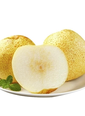 安徽特产现摘砀山酥梨新鲜梨子水果梨正宗雪梨