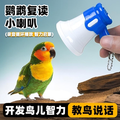 鹦鹉学说话神器教鸟学习