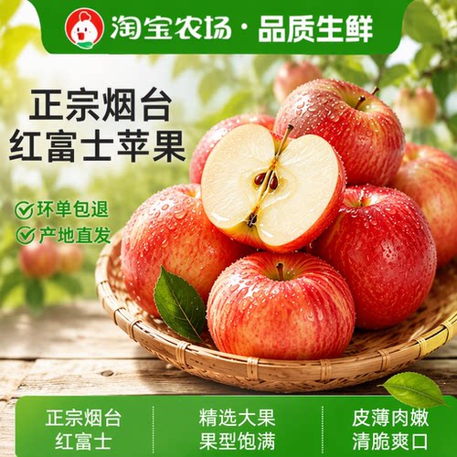 苹果新鲜水果正宗烟台红富士山东特产富士苹果包邮孕妇农场精选
