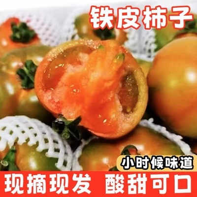丹东铁皮草莓柿子即食新鲜碱地自然熟绿腚正宗水果番茄顺丰包邮