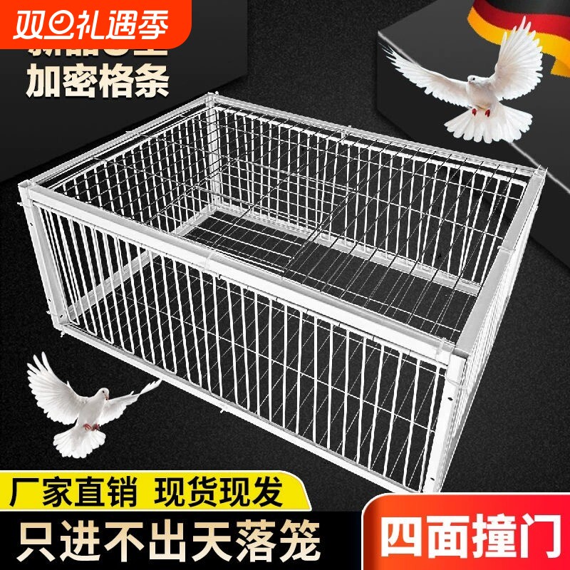补笼全自动天落笼子撞门捕捉抓收鸽子鸟神器捕笼器加密款网防锈