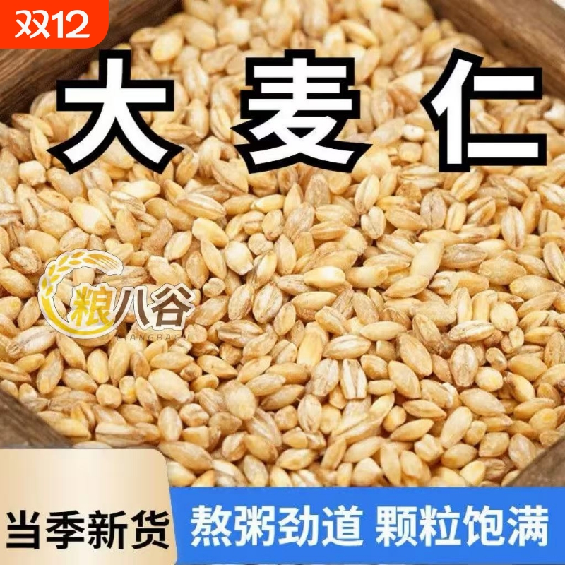 新货农家大麦仁大麦粒大麦米大麦粥大麦优质散装