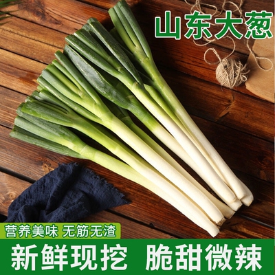 正宗山东大葱新鲜非章丘蔬菜甜葱特级铁杆长葱去叶嫩葱5/10斤包邮