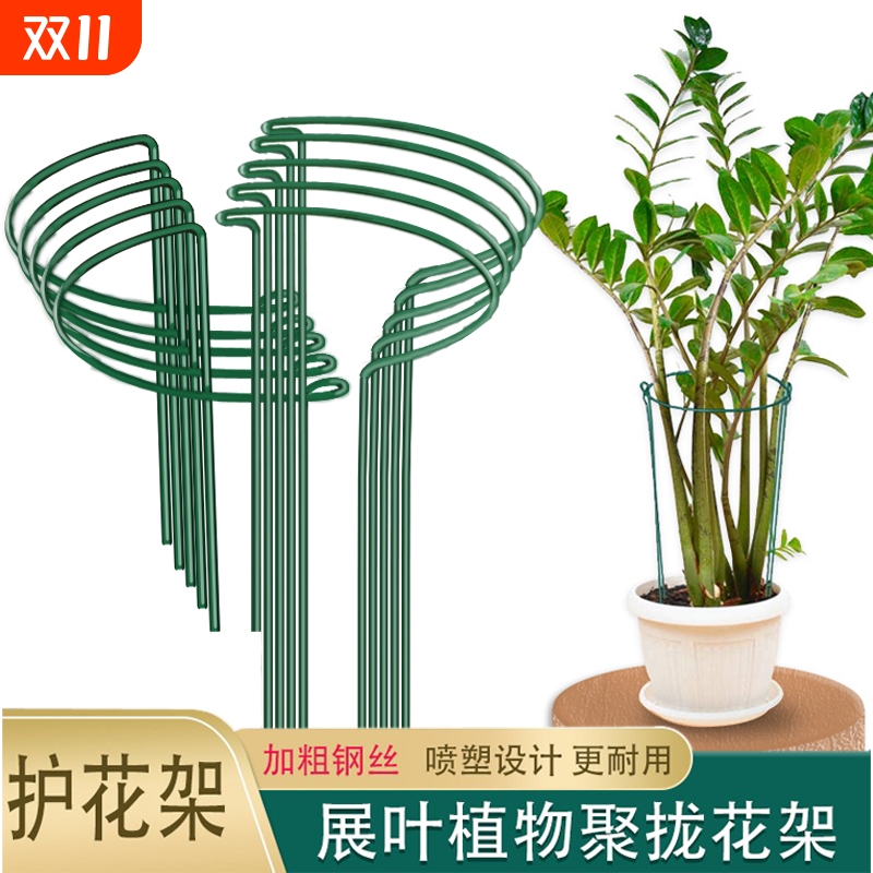 花支撑架金钱树植物花支架花架支撑杆花卉龟背竹防倒伏虎皮兰护花