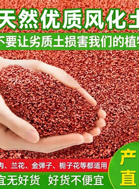 天然酸性兰花金弹子多肉风化土