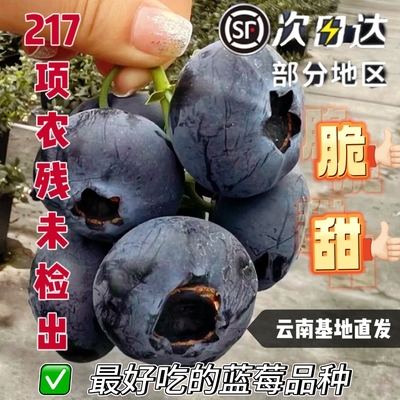 澄江花香蓝莓脆甜多汁