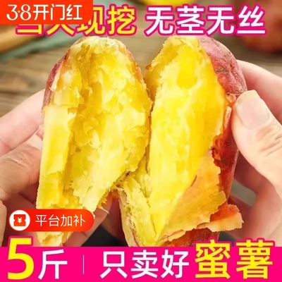 正宗蜜薯红薯沙地蜜薯红心黄心番薯新鲜糖心地瓜板栗山芋香薯自提