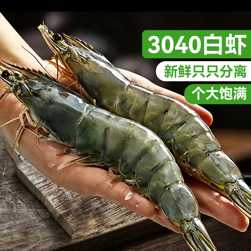 鲜活冷冻大虾急冻锁鲜盐冻白虾青虾海鲜青岛大虾生鲜虾水产速冻