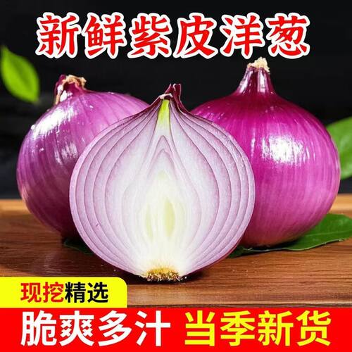 2026年洋葱新鲜蔬菜当季圆葱葱头洋葱头包邮食用紫皮种植自种脆甜