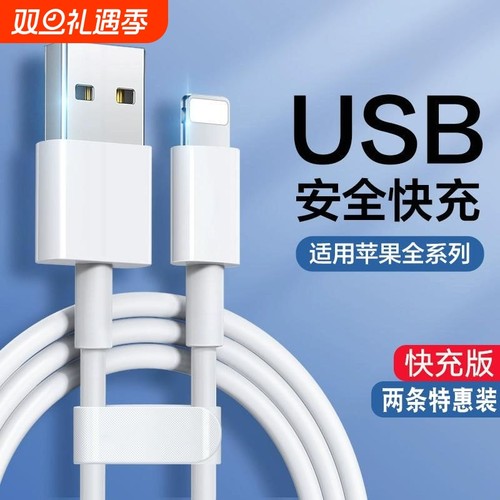 匿名者适用苹果数据线快充