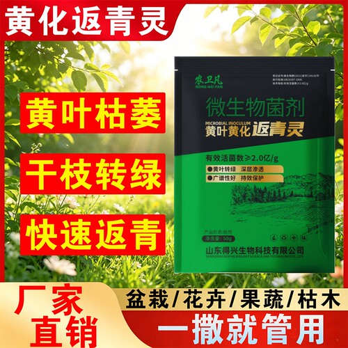 植物枯萎发黄掉叶速效再生剂