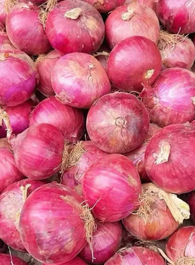 云南农家现挖水果洋葱