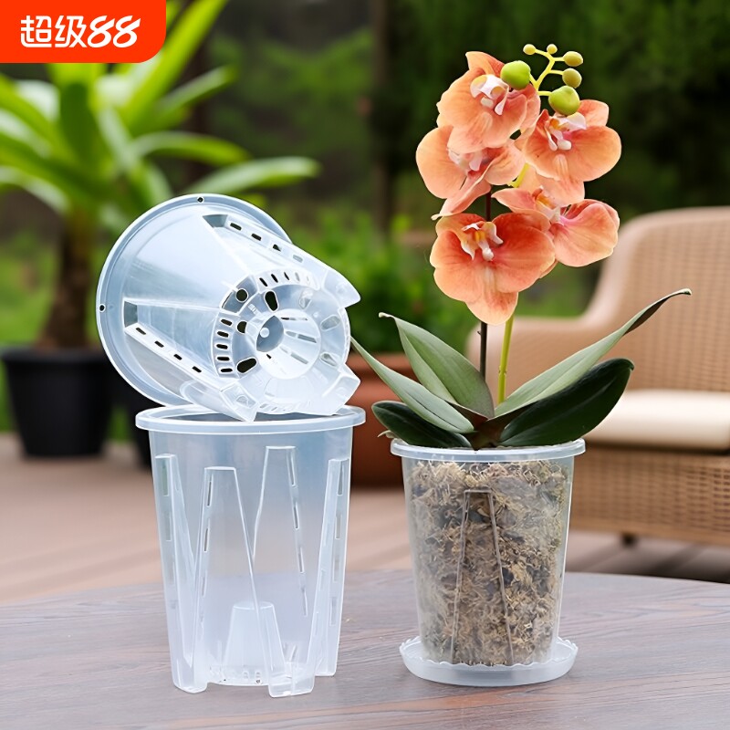 透明青山控根盆蝴蝶兰树脂花盆兰花水苔塑料透气镂空家用托盘多肉图片