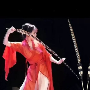 全套翎毛翎子头饰京剧翎子豫剧翎羽旦花翎座古装舞蹈戏剧鸡毛翎羽