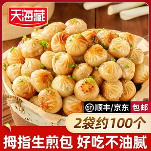 天海藏500g 200只 袋鲜肉小笼包开学面点 100 拇指生煎包早餐