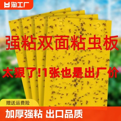 粘虫板专用黄板双面小黑飞果蝇诱捕器诱虫板贴纸农用家用花园强力