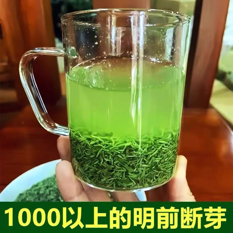 绿茶2026新茶信阳毛尖明前高碎茶叶碎断芽浓香口粮茶耐泡春茶500g