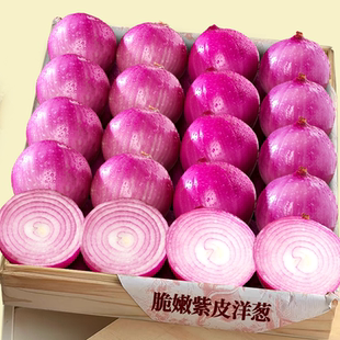 新鲜水果洋葱现挖紫皮圆葱蔬菜当季扁大小洋葱头甜味生吃脆甜爽口