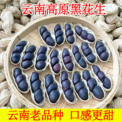 25年原味富硒黑花生带壳黑花生味甜黑皮云南特产云南黑花生
