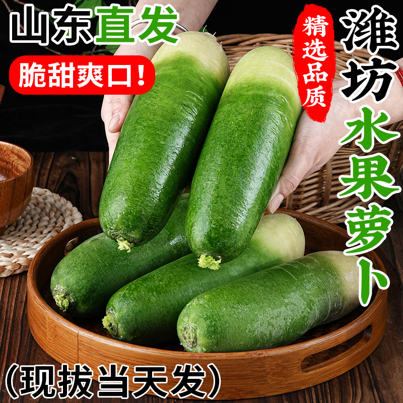 正宗潍坊水果萝卜新鲜生吃脆甜水果萝卜新鲜青胡萝卜正宗5斤装