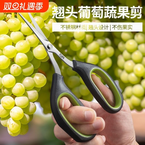 不锈钢翘头葡萄剪刀园艺剪刀疏花蔬果剪刀尖头小剪刀修枝剪葡萄