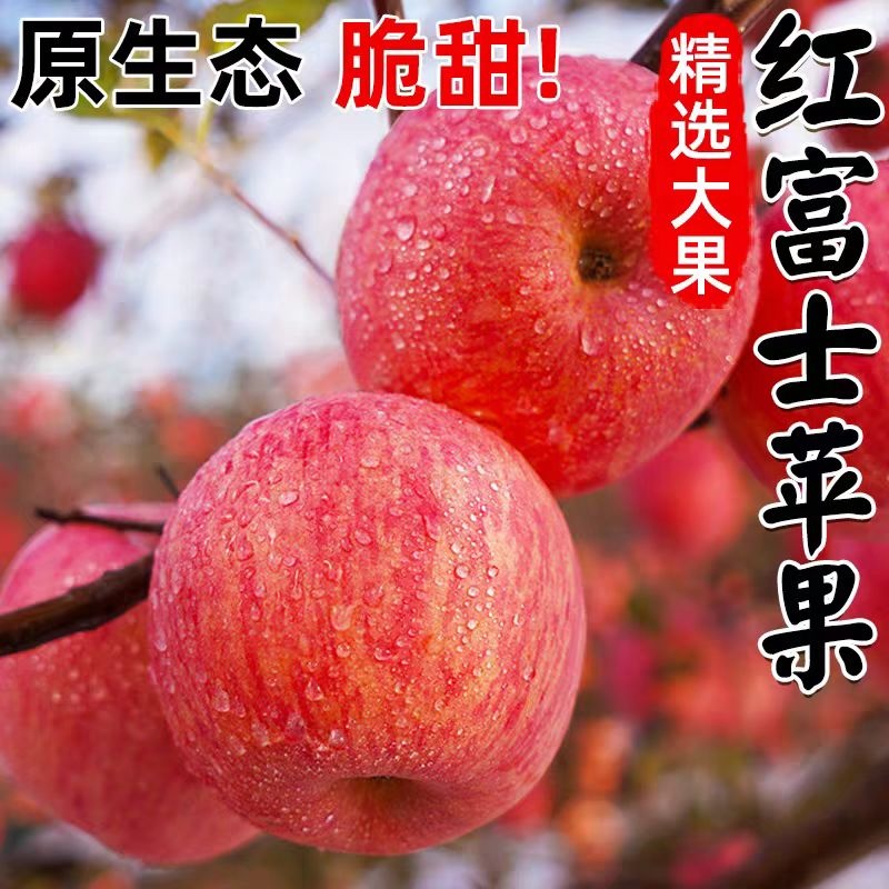 陕西红富士苹果新鲜水果现摘当季富士正宗冰糖心苹果红露整箱包邮