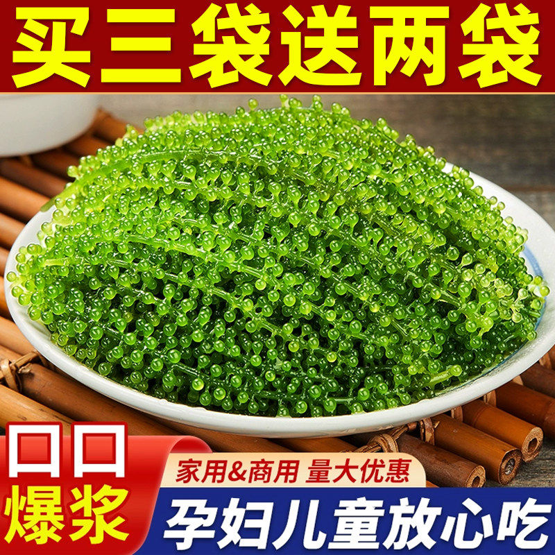 海葡萄儿童即食植物鱼子酱海藻凉拌菜盐渍水葡萄爆珠浆海草寿司