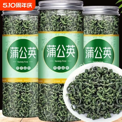 蒲公英茶蒲公英茶叶婆婆丁茶代茶